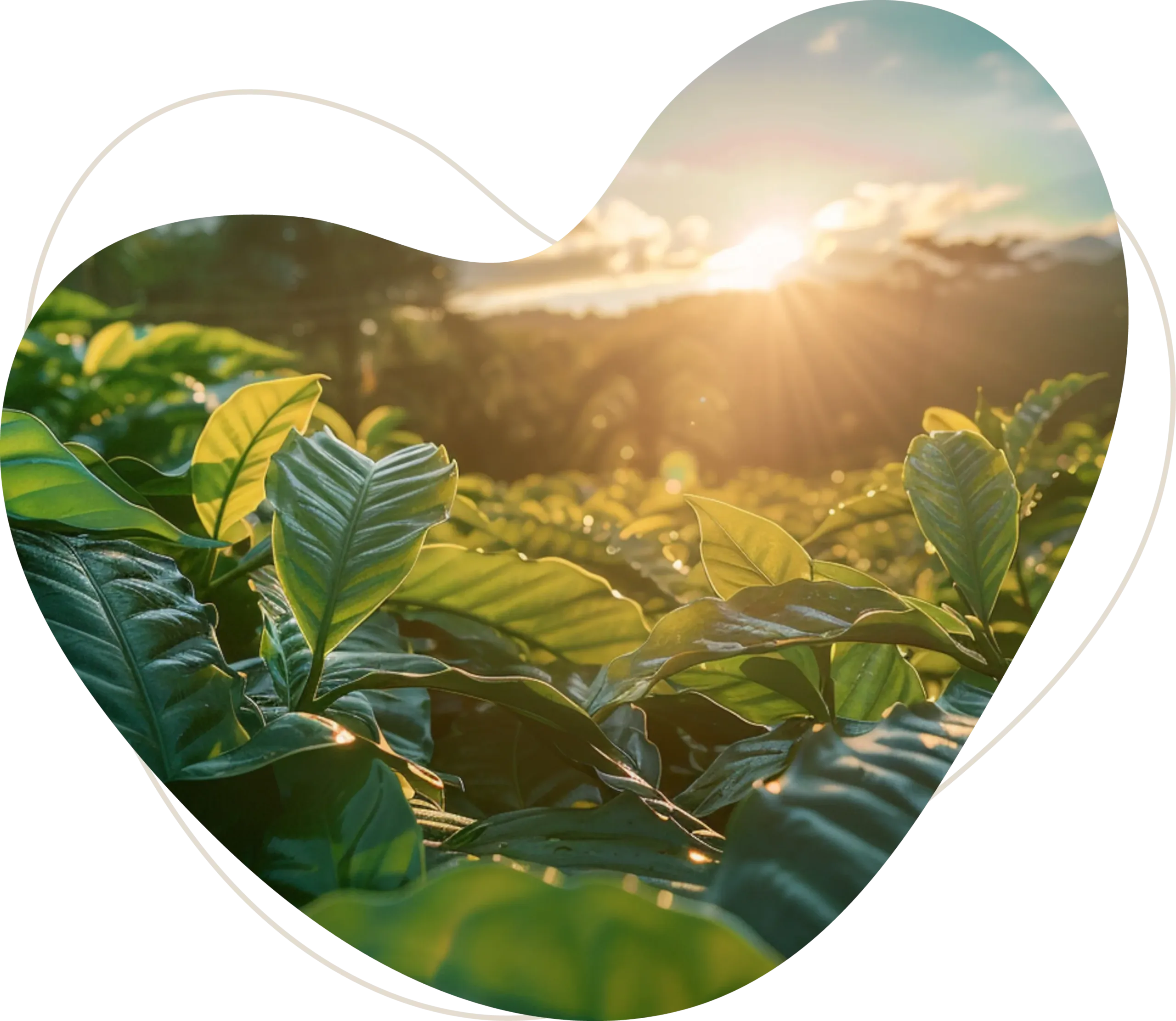 Hesselink-Foundation-Afbeelding-13-scaled